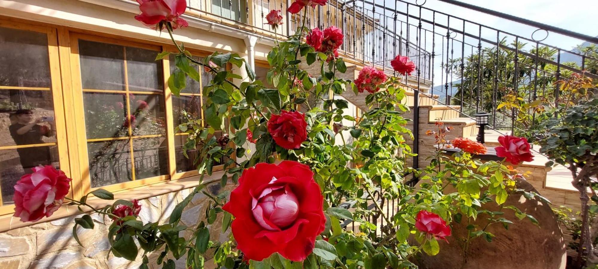 Casas Rurales Cerro Lobo Йесте Экстерьер фото